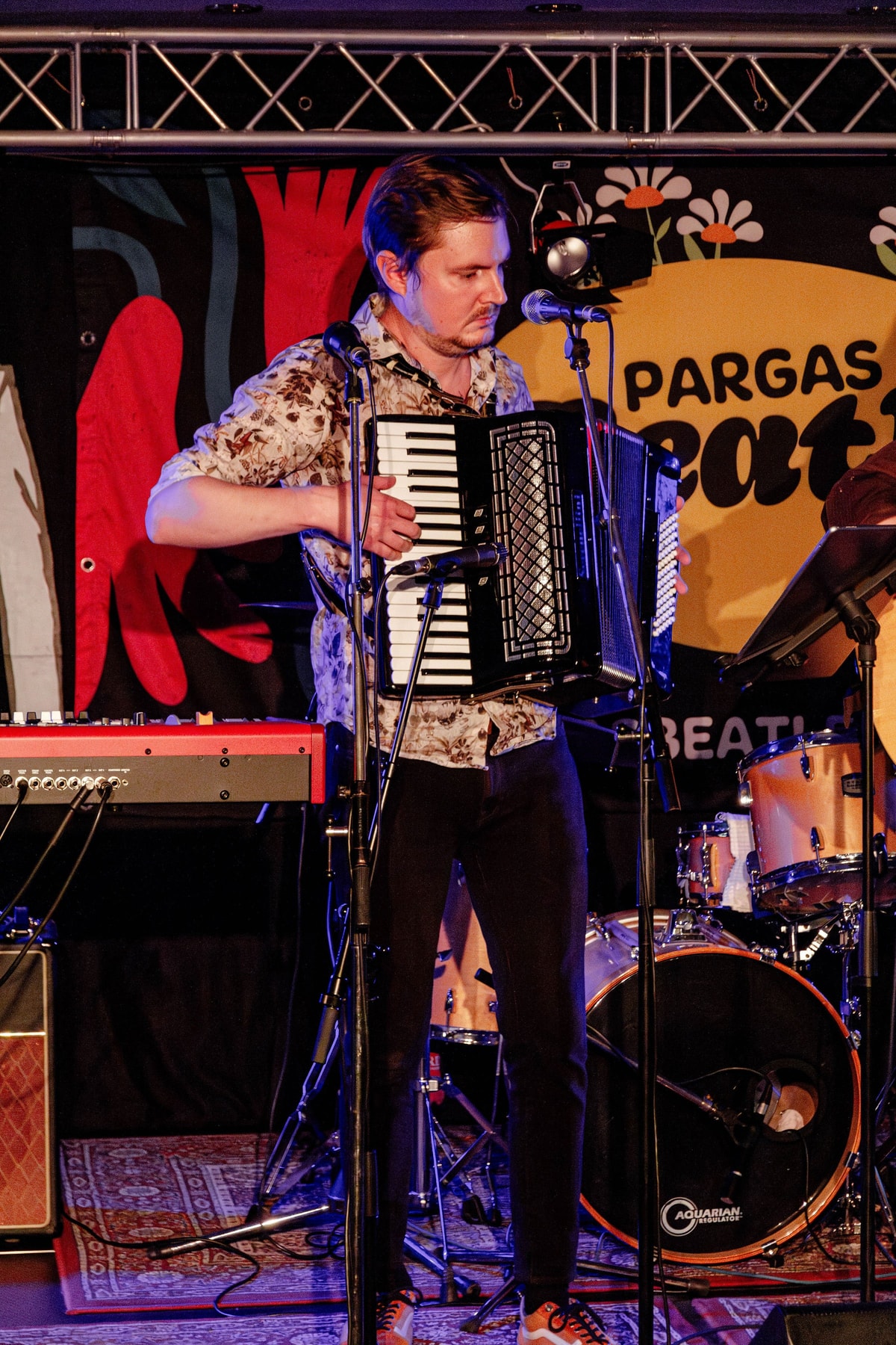 Pargas Beatles Fest 2024 photo