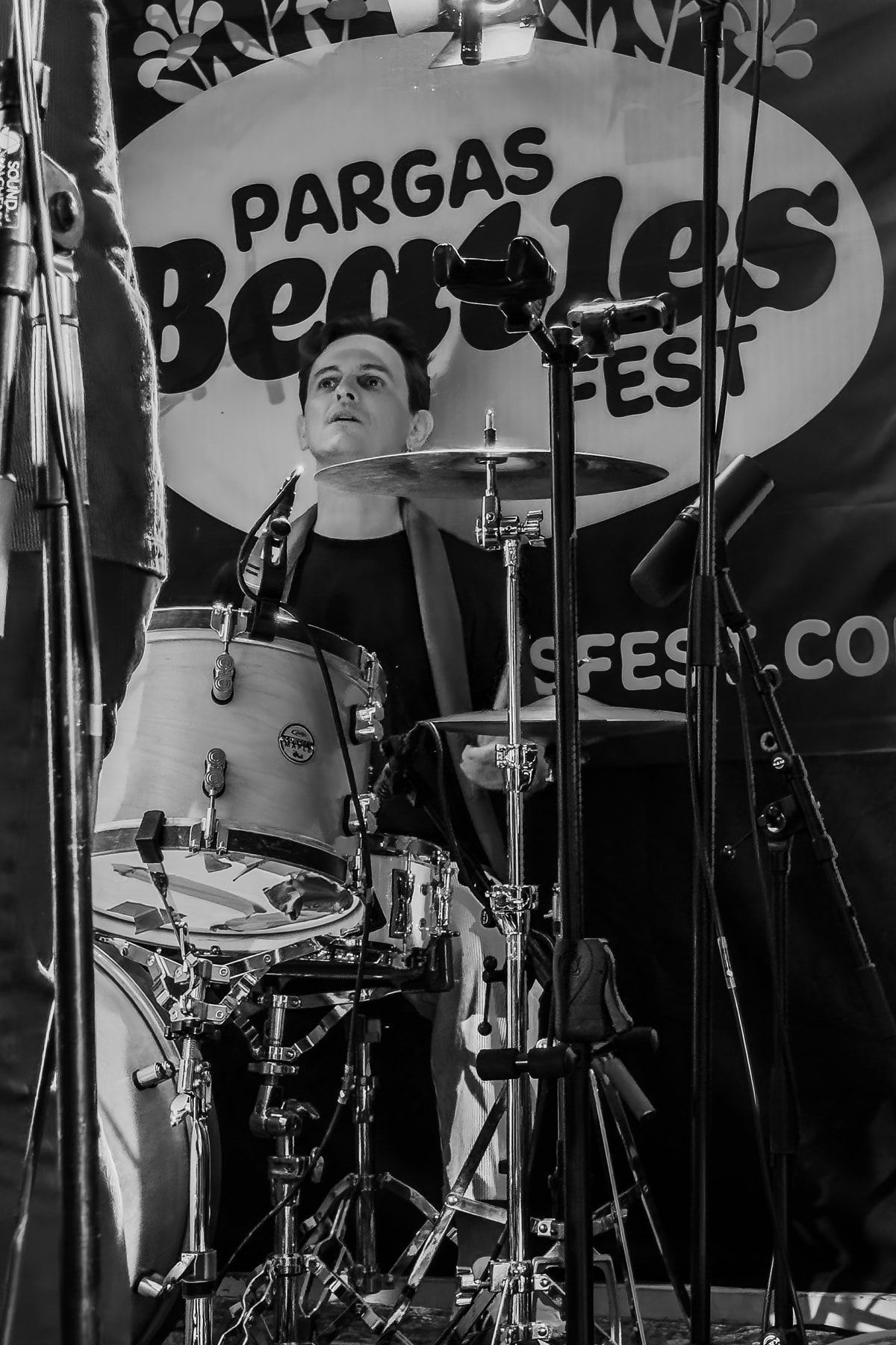 Pargas Beatles Fest 2025 photo