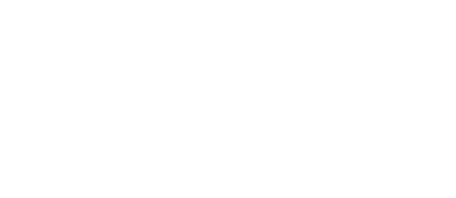 SAHA & Co